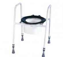 WC za invalide: tehničke karakteristike stolica-WC