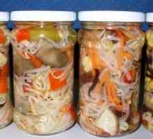 Domaći povrća salate u zimi: recepti