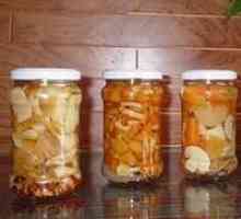 Domaće pripreme za zimu: kiseli krastavac maslac gljive, recept za recept