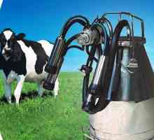Početna muzilica za krave: savjete o odabiru i mišljenja