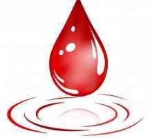 Darivanje krvi: koristi i štete. Gdje i kako donirati krv