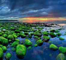 Atrakcije Island: priroda, klima i zanimljivosti