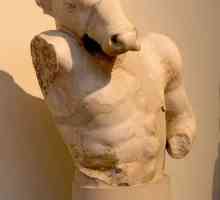 Starogrčki skulptura, njegove karakteristike, razvojne faze. Starogrčki skulpture i njihovi autori