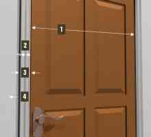 Vrata: veličina i karakteristike instalacije kutije