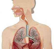 Vježbe disanja Strelnikova: kontraindikacije i indikacije, recenzije