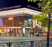Ekaterinburg Glazbena Kazalište Komedija: repertoar, povijest, društvo