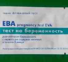 „Eva” - test na trudnoću: mišljenja, primjena značajke, cijene