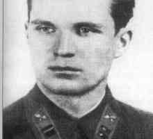 Jevgenij Stepanov, Sovjetski vojni pilot: biografija