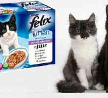 „Felix” (mačka hrana): ocjene korisnika i veterinari