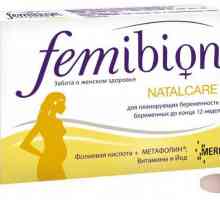 "Femibion ​​-1": pripravak. „Femibion” za trudnice: instrukcije,…