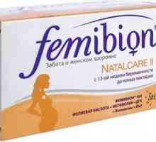 "Femibion ​​2": sastav, analozi i povratne informacije. Vitamini za trudnice…