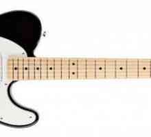 "Fender" - gitara legenda. Povijest marke i modela pregleda