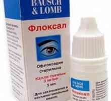 "Floksal" - kapi za oči. Upute za upotrebu u liječenju konjuktivitisa