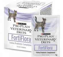 „Fortiflora za mačke”: Upute za uporabu