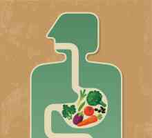 Gdje hranjive tvari ulaze u krvotok u ljudi?
