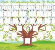 Obiteljskog stabla sa svojim rukama: odabir informacija točna gradnja, uređenje ideje
