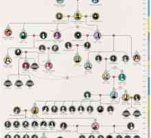 Obiteljsko stablo dinastije Romanov: Ključne činjenice