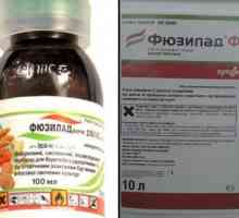 Herbicid „fyuzilad forte”: upute za uporabu, karakteristike
