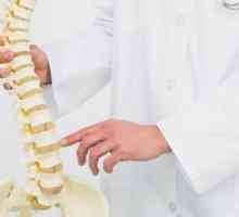 Gimnastika u osteochondrosis vratne-torakalne kralježnice: fotografija, recenzije