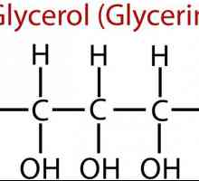 Glicerin i njegova primjena. glicerin hrane