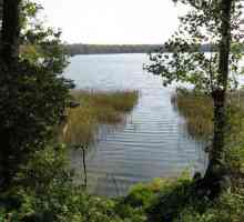 Najdublje jezero (Ruža distrikt, Moskva regija): opis, ribolov i rekreaciju