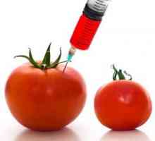 GMO: dekodiranje i opasnost