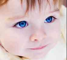 Suppurating oči djeteta: što učiniti ako ne možete posjetiti oftalmologa