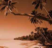 Sjeverna Goa: plaže u ritmu reggae