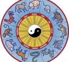 Godina vola: karakteristika. Znak bika, Istočna / Kineski kalendar