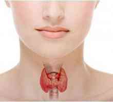 Parathyroid hormon: funkcija, utjecaj na ljudsko tijelo