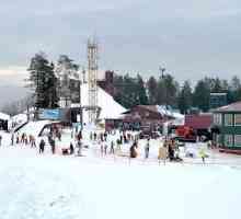 Skijalištima u Lenjingradu područje: cijene, fotografije i recenzije