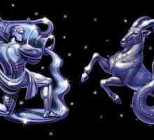 Horoskop kompatibilnost. Unija Jarac-Vodolija Žena + muškarac