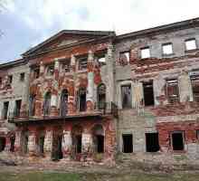 Grebnevo (kurija): Priča i fotografije. Napuštena dvorac Grebnevo