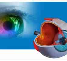 „Bolesti oka Institut” Gu (UFA): vizija korekcija, dijagnoza i liječenje očnih…