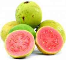 Guava - egzotično voće, i vrlo korisno