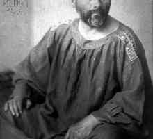 Gustav Klimt: Slikarstvo, kreativnost, biografija. Ono što čini slike Gustava Klimta?