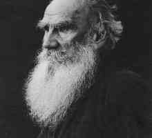 Heroji karakteristične „nakon loptu” i kratak sadržaj djela l. Tolstoj