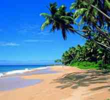Hikkaduwa (Šri Lanka) - luksuzni resort i raj za ronioce