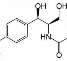 „Kloramfenikol”: upute za uporabu. Kapi „kloramfenikol”