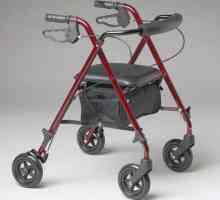 Go-kolica za invalide i starije osobe: vrste, opis, pravila za odabir
