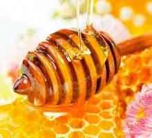 Skladištenje meda u kući: temeljna pravila
