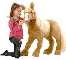 Toy-konj relevantne za djecu bilo koje dobi
