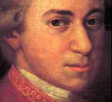 Zanimljivosti iz života Mozarta. Wolfgang Amadeus Mozart: Biografija