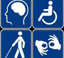 Disability 3 skupine: mjesto pod suncem ili borbe bez pravila?