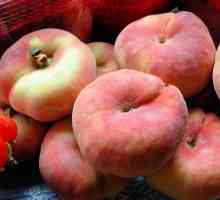 : Breskva Breskva: kalorijske svježe voće i jela iz nje