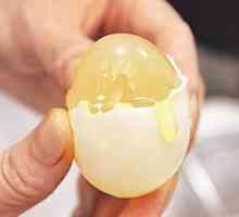 Umjetni jaja - je li to moguće?