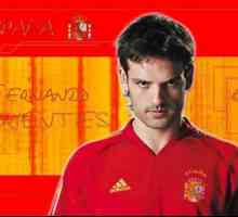 Španjolski nogometaš Fernando Morientes: biografija, statistika, ciljevi i zanimljivosti