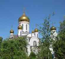 Iver Manastir: Odessa, škola uzletište