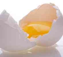 Jaje Proteini: što je to za?