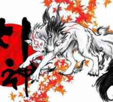 Japanski vuk: opis vrste, stanište, uzroci izumiranja